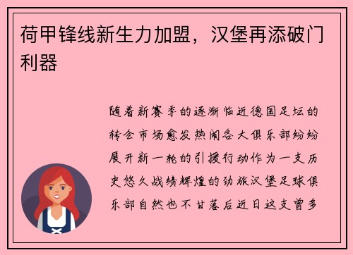荷甲锋线新生力加盟，汉堡再添破门利器