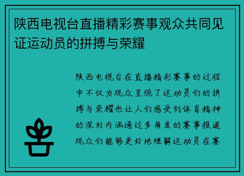陕西电视台直播精彩赛事观众共同见证运动员的拼搏与荣耀